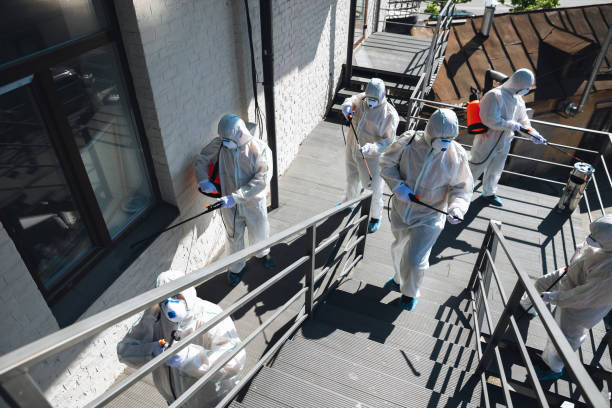 Asbestos and Lead Testing During Mold Inspection in Clyde, NC